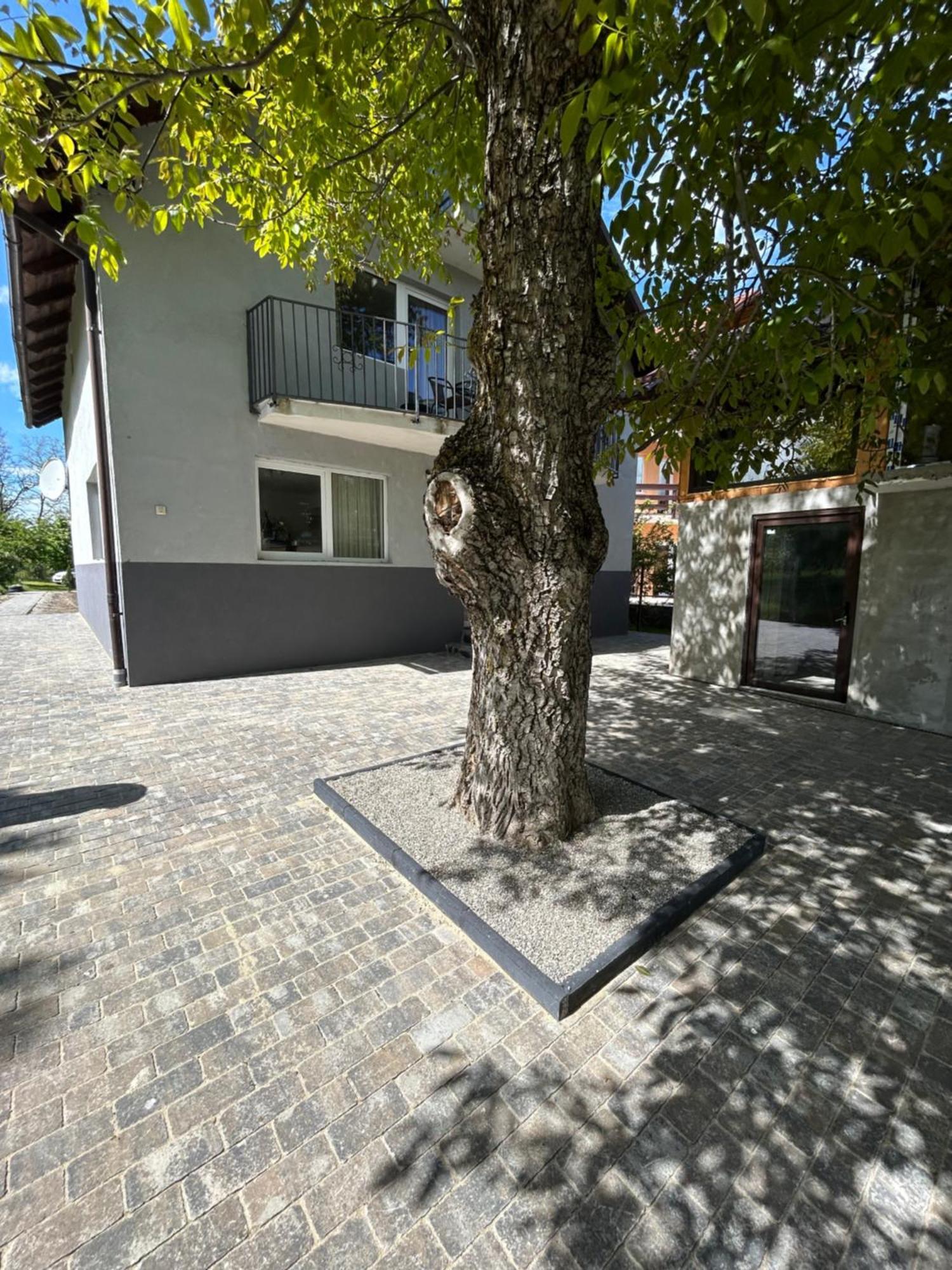 Villa Casa Luca Ama Bran Bran  Exterior foto